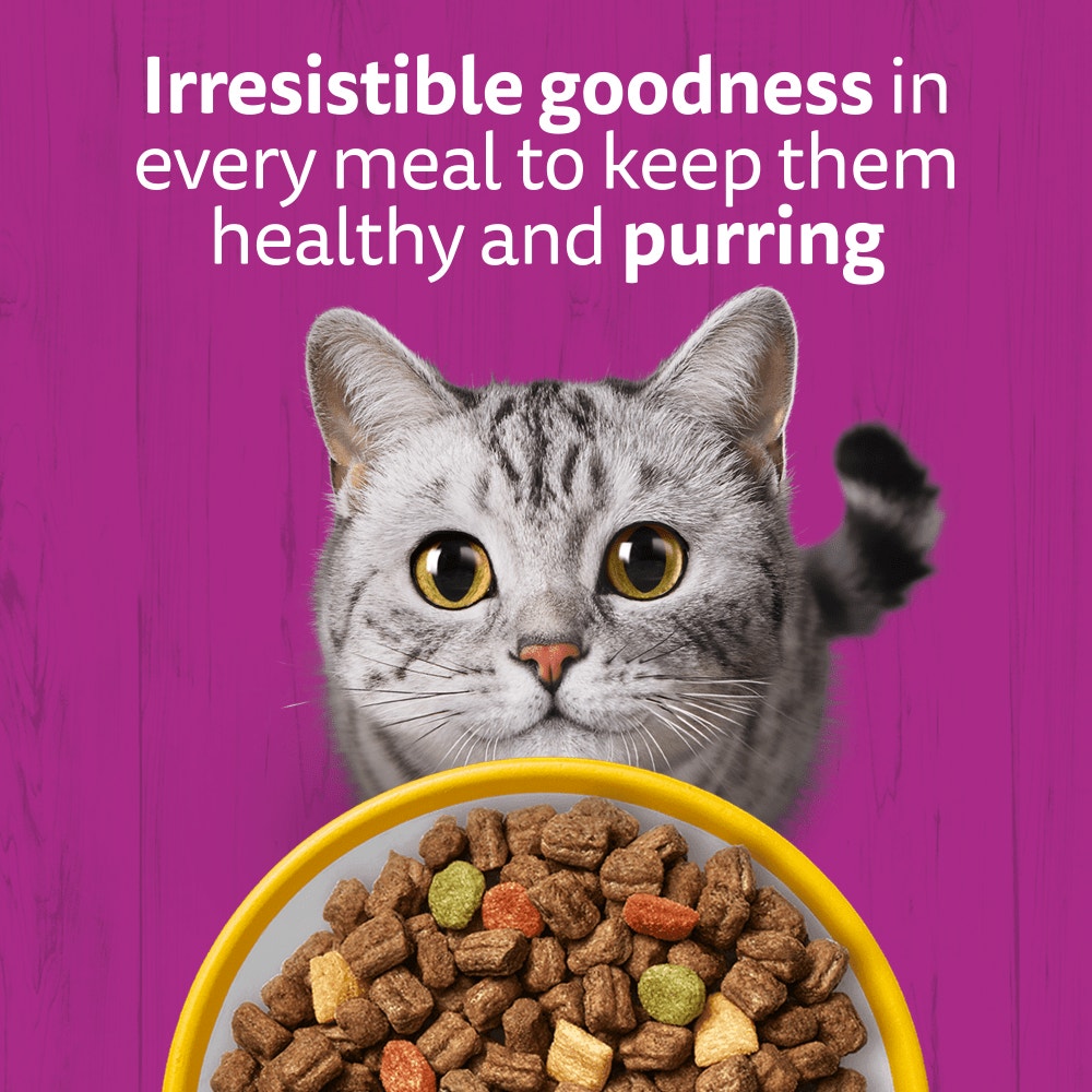 WHISKAS Cat Dry with Chicken Senior 7+ 1.9kg, 800g - 2