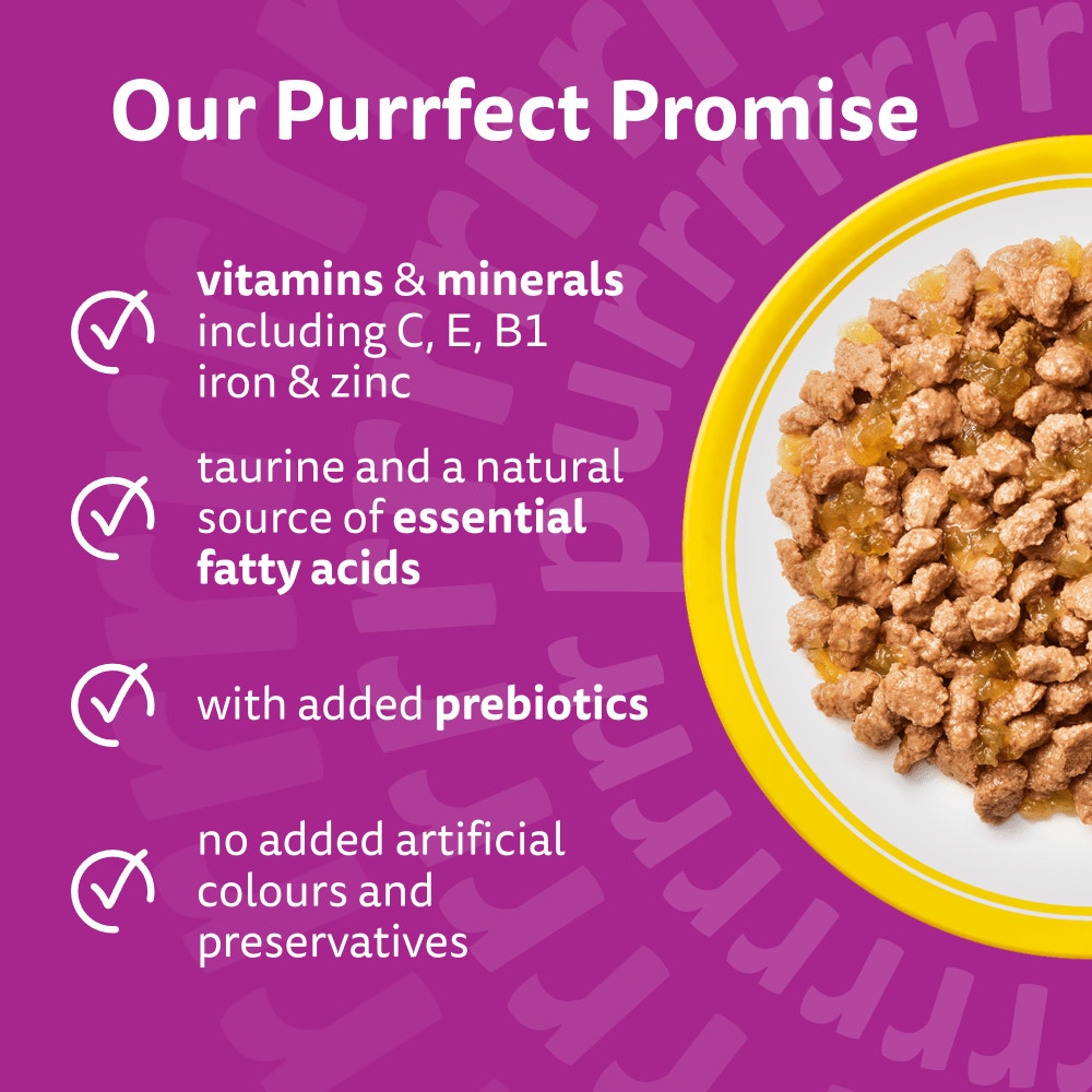 WHISKAS Senior 11+ POULTRY Feasts Wet Cat Food Pouches in Jelly 12 x 85g - 3