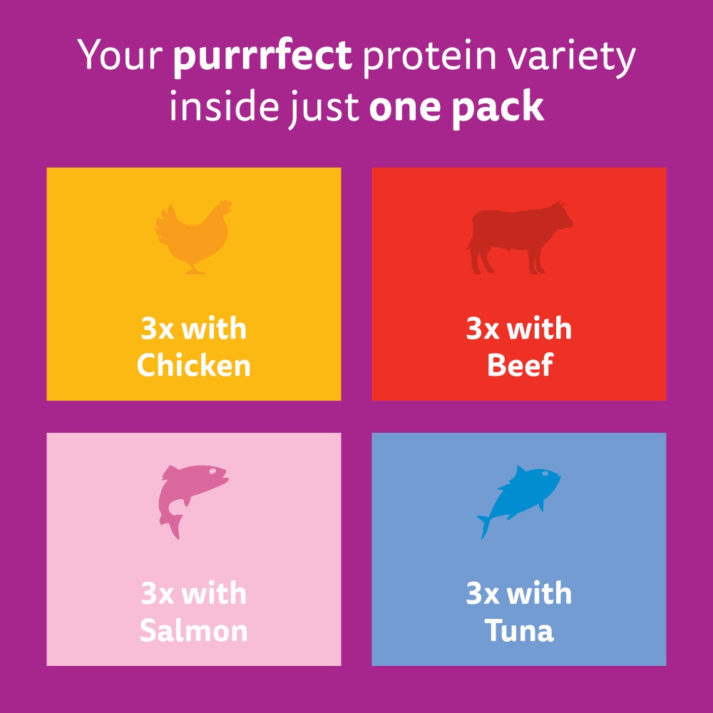 WHISKAS Kitten 2-12 mnths MIXED Menu Wet Cat Food Pouches in Jelly 12 x 85g - 6