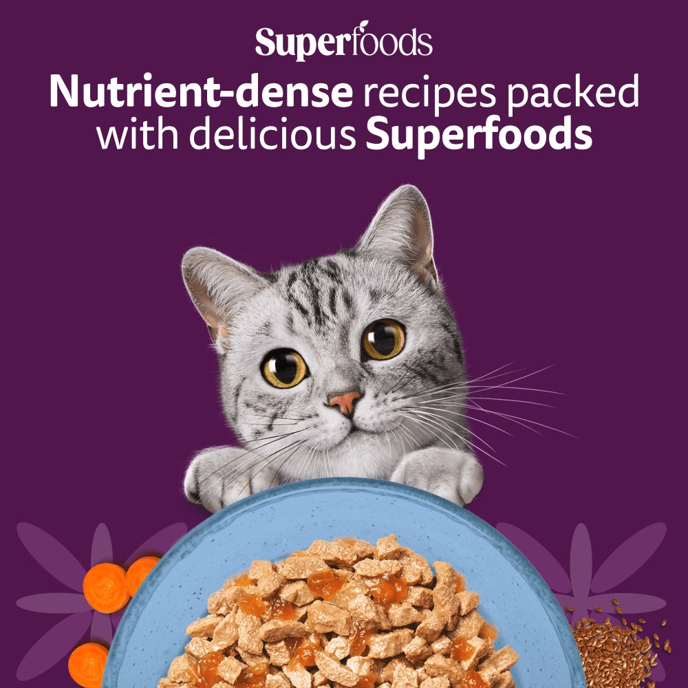 WHISKAS 1+ SUPERFOODS FISH Wet Cat Food Pouches in Jelly 6 x 50g - 2