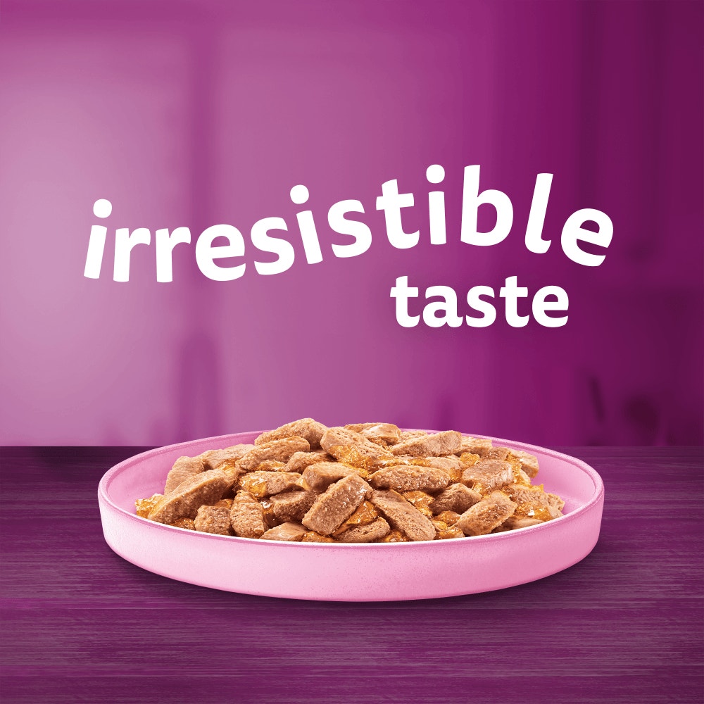 WHISKAS® Adult Wet Cat Food Salmon in Jelly Tin 400g - 2