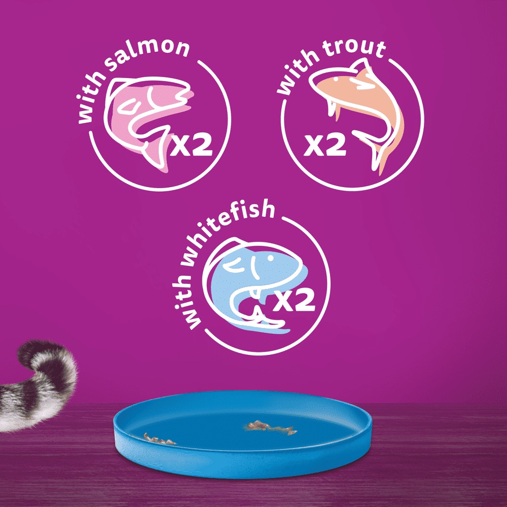 WHISKAS® Ocean Menu Adult Wet Cat Food in Jelly Tin 6x400g - 6