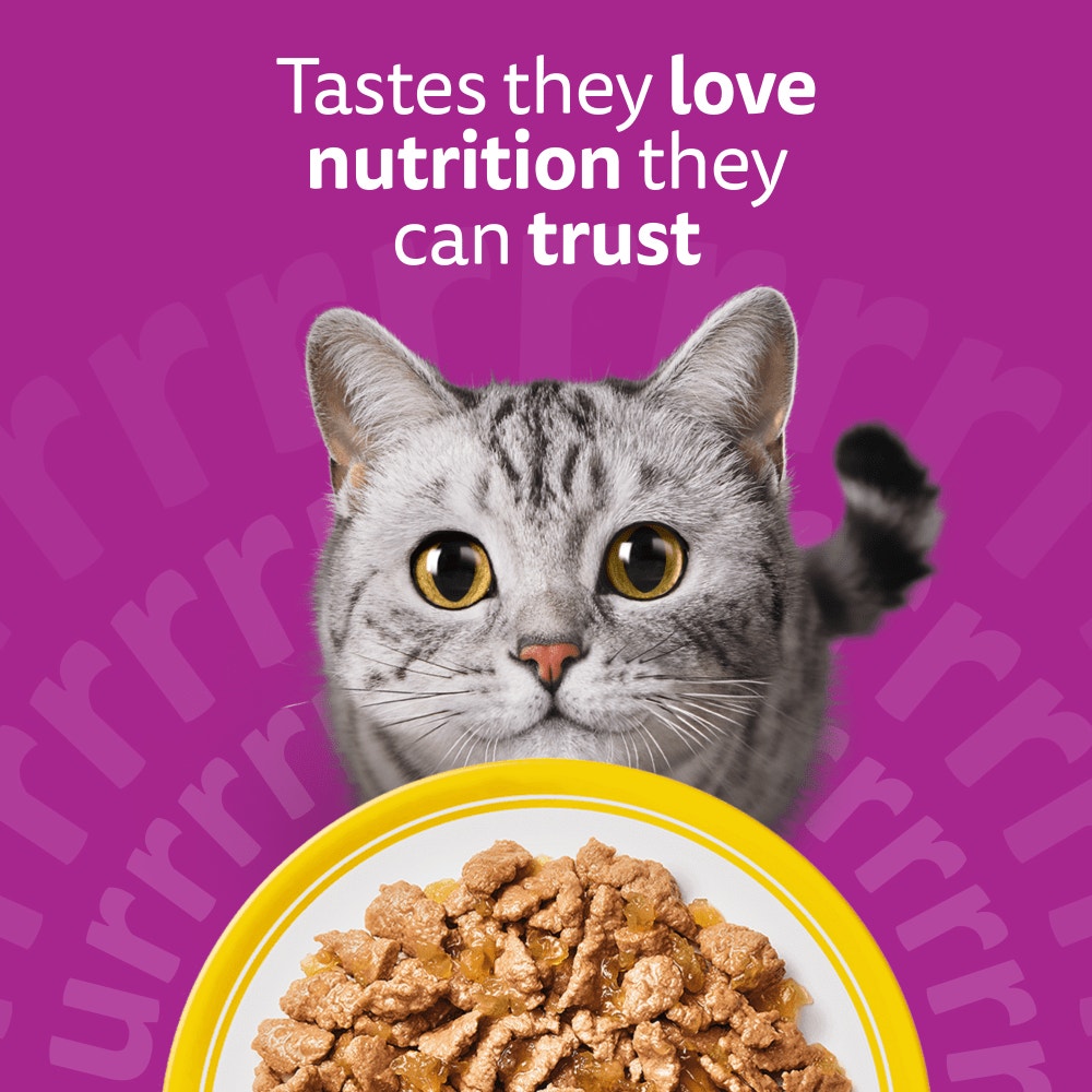 WHISKAS 1+ Variety pack Wet Cat Food Pouches in Gravy & Jelly 80 x 85g, 40 x 85g, 12 x 85g - 2