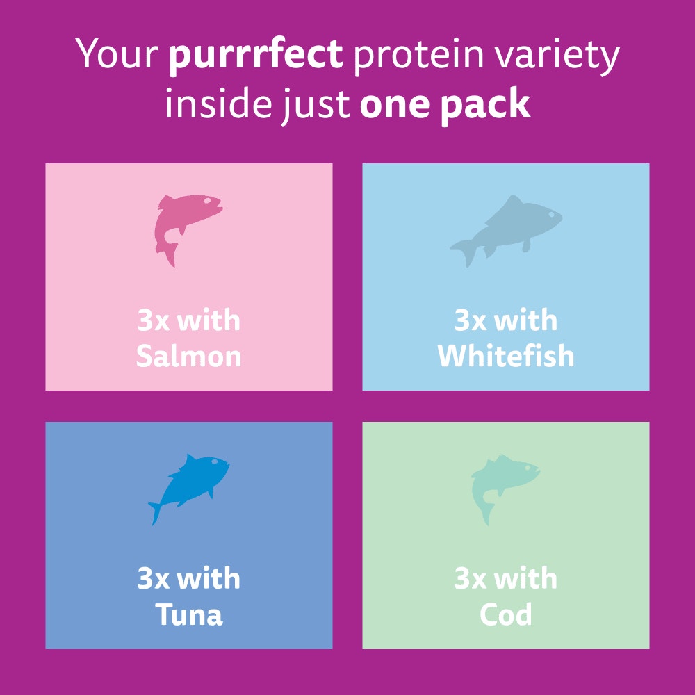 WHISKAS Senior 7+ FISH Favourites Wet Cat Food Pouches in Jelly 12 x 85g - 6