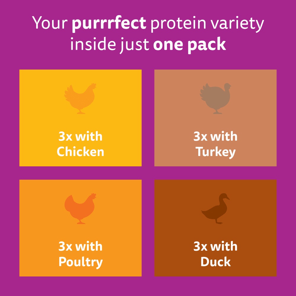 WHISKAS 1+ POULTRY Feasts Wet Cat Food Pouches in Gravy 12 x 85g - 6