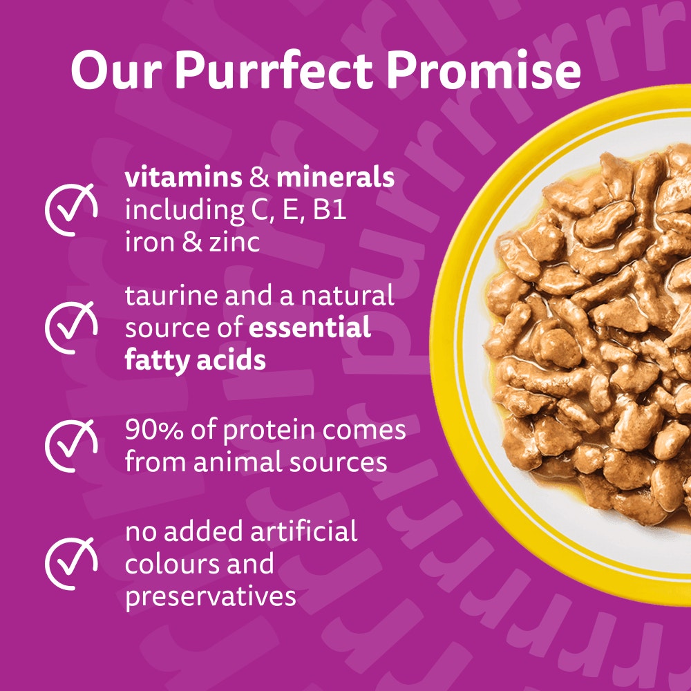 WHISKAS Senior 7+ POULTRY Feasts Wet Cat Food Pouches in Gravy 12 x 85g - 3