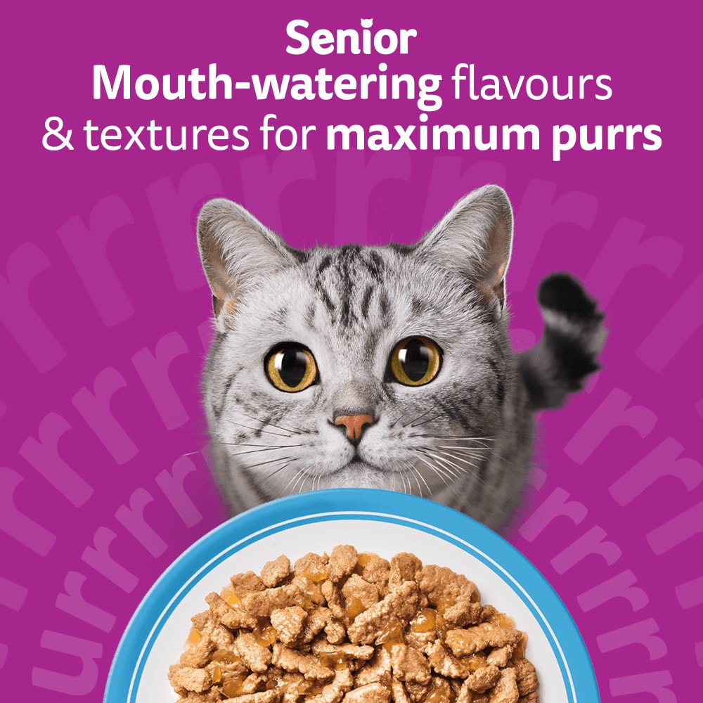 WHISKAS Senior 7+ FISH Favourites Wet Cat Food Pouches in Jelly 12 x 85g - 2