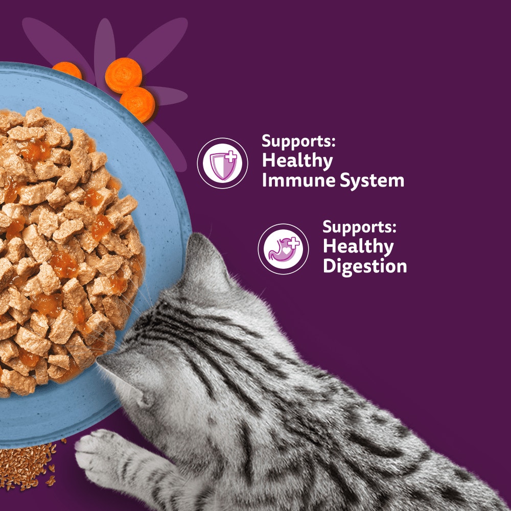 WHISKAS 1+ SUPERFOODS FISH Wet Cat Food Pouches in Jelly 6 x 50g - 4