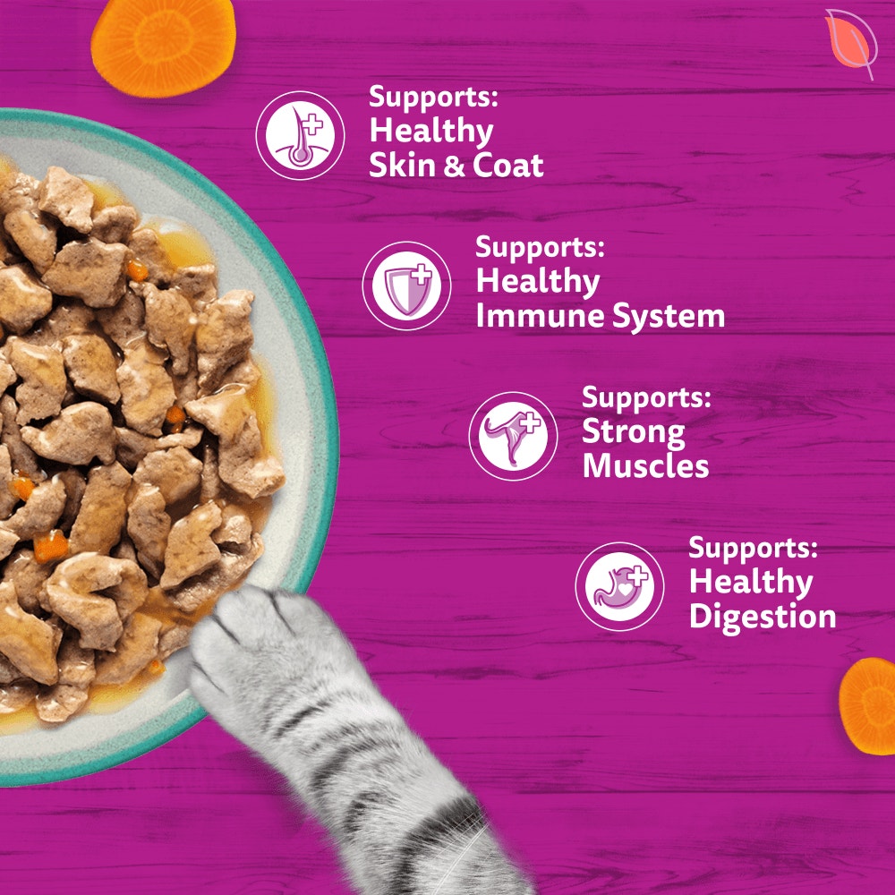 WHISKAS 1+ TASTY MIX Catch Of The Day Wet Cat Food Pouches in Gravy 12 x 85g - 4