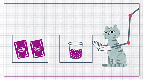 What is a healthy diet for cats?