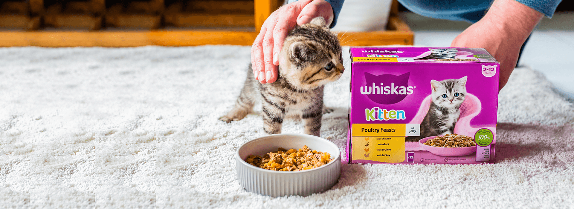 how to give whiskas to kitten