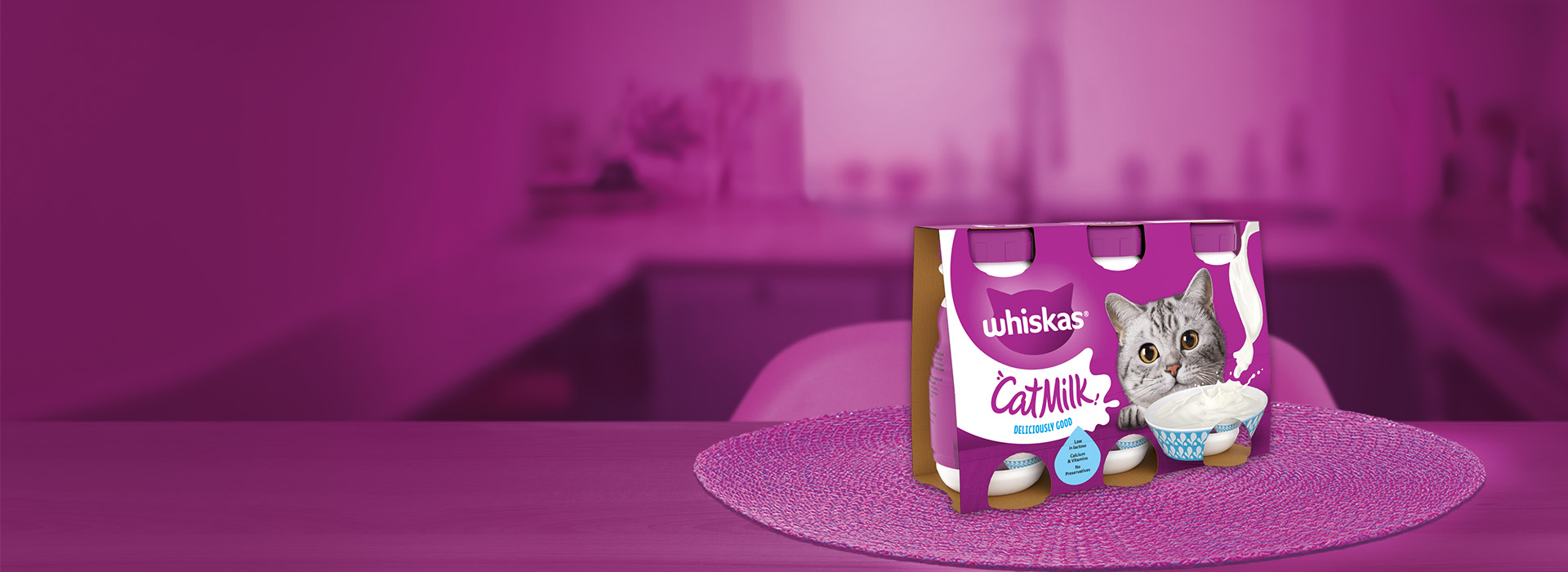 Cat Milk Hero Image