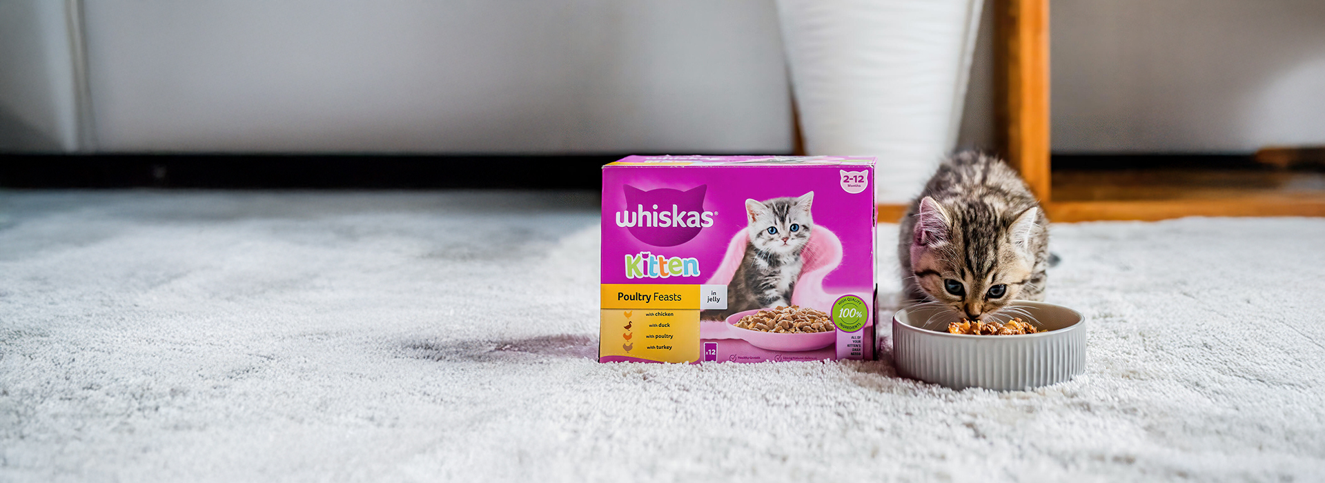 Get a Free Sample Kitten