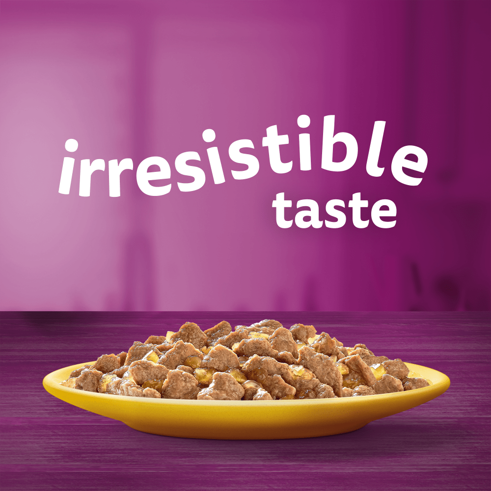 WHISKAS® 1+ Adult Wet Cat Food Pouches in Jelly with Chicken 85g - 2