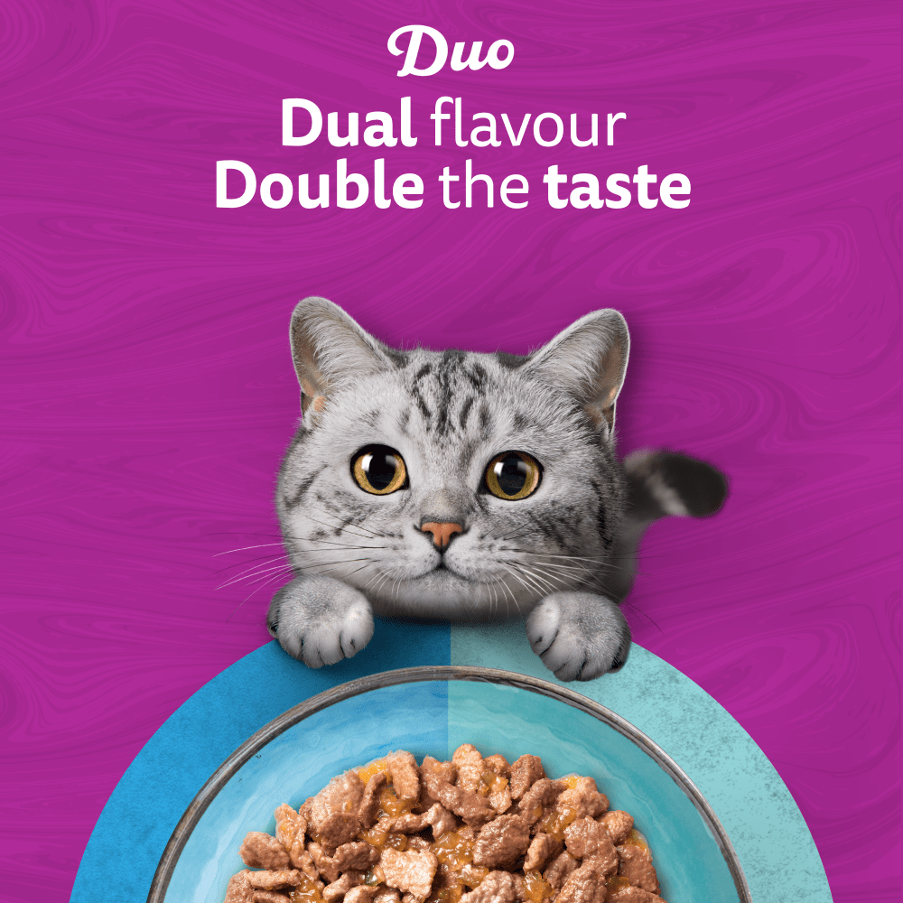 WHISKAS 1+ DUO OCEAN Delight Wet Cat Food Pouches in Jelly 12 x 85g - 2