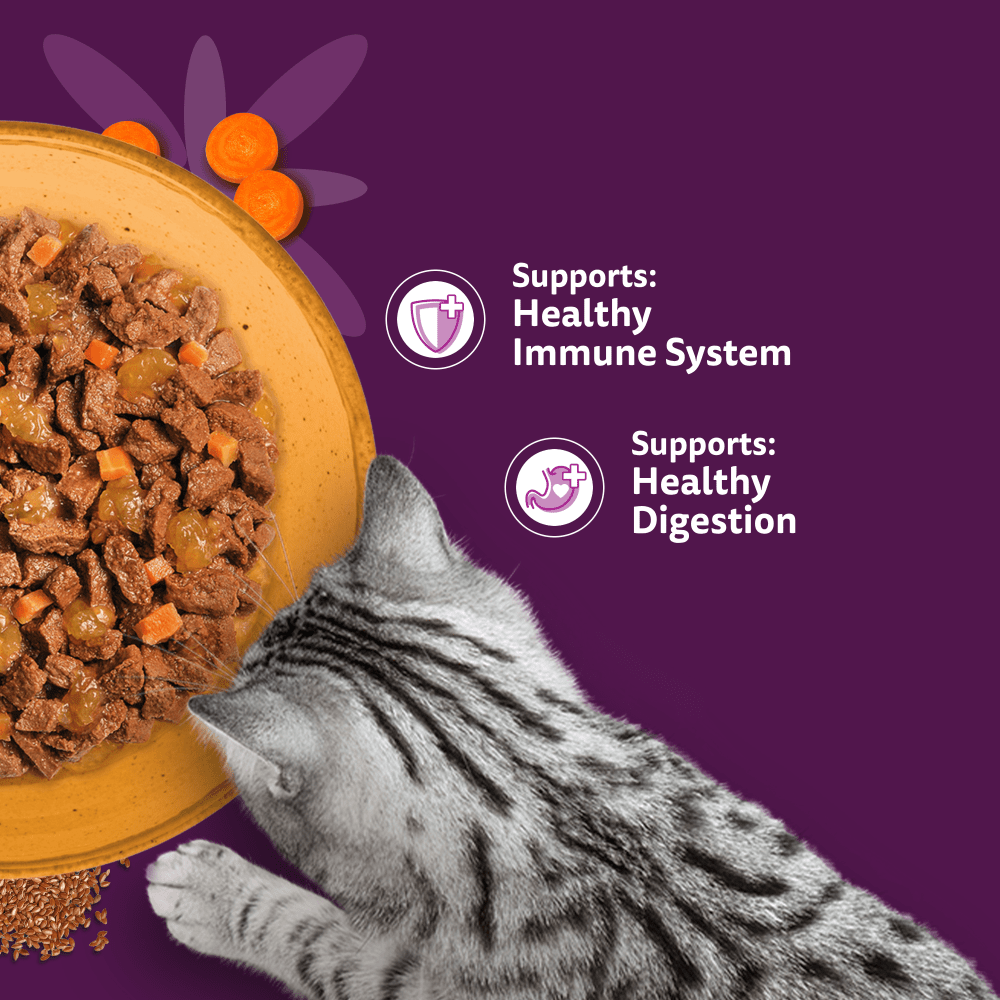 WHISKAS 1+ SUPERFOODS POULTRY Wet Cat Food Pouches in Jelly 6 x 50g - 4