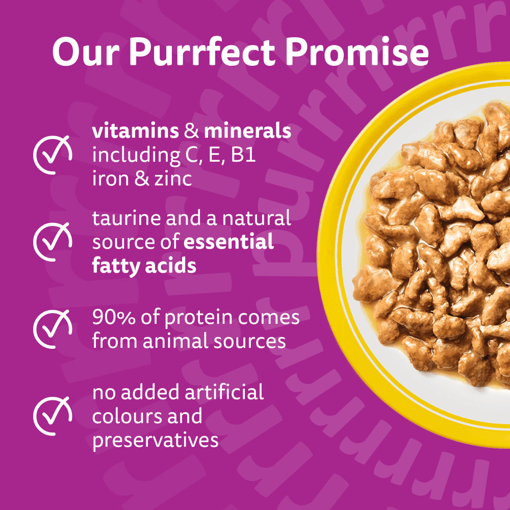 WHISKAS 1+ POULTRY Feasts Wet Cat Food Pouches in Gravy 12 x 85g - 3