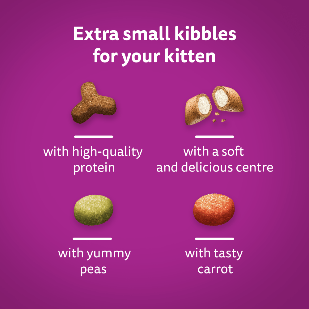 WHISKAS® Cat Dry with Chicken Kitten 2-12 Months 7kg,1.9kg,800g,300g - 5