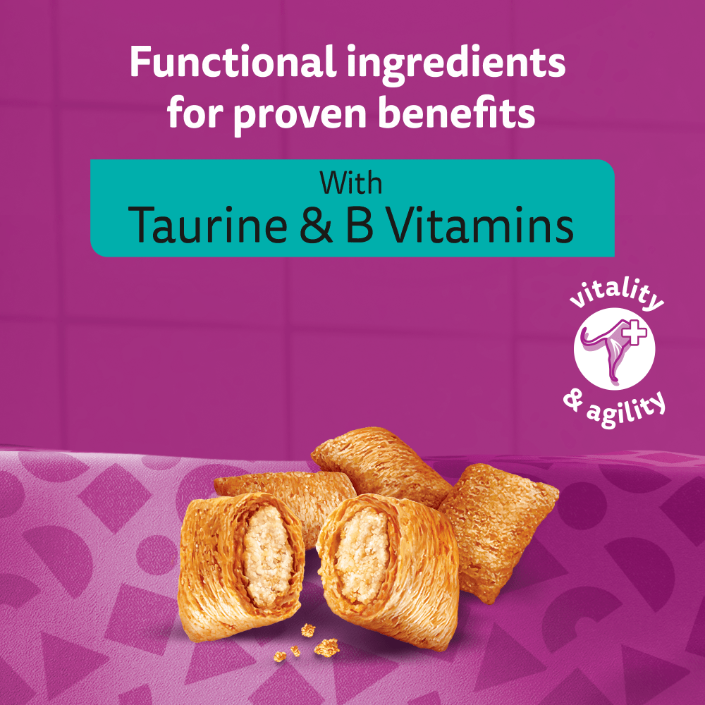 WHISKAS® Pounce & Play Adult Cat Treats with Chicken 45g - 5