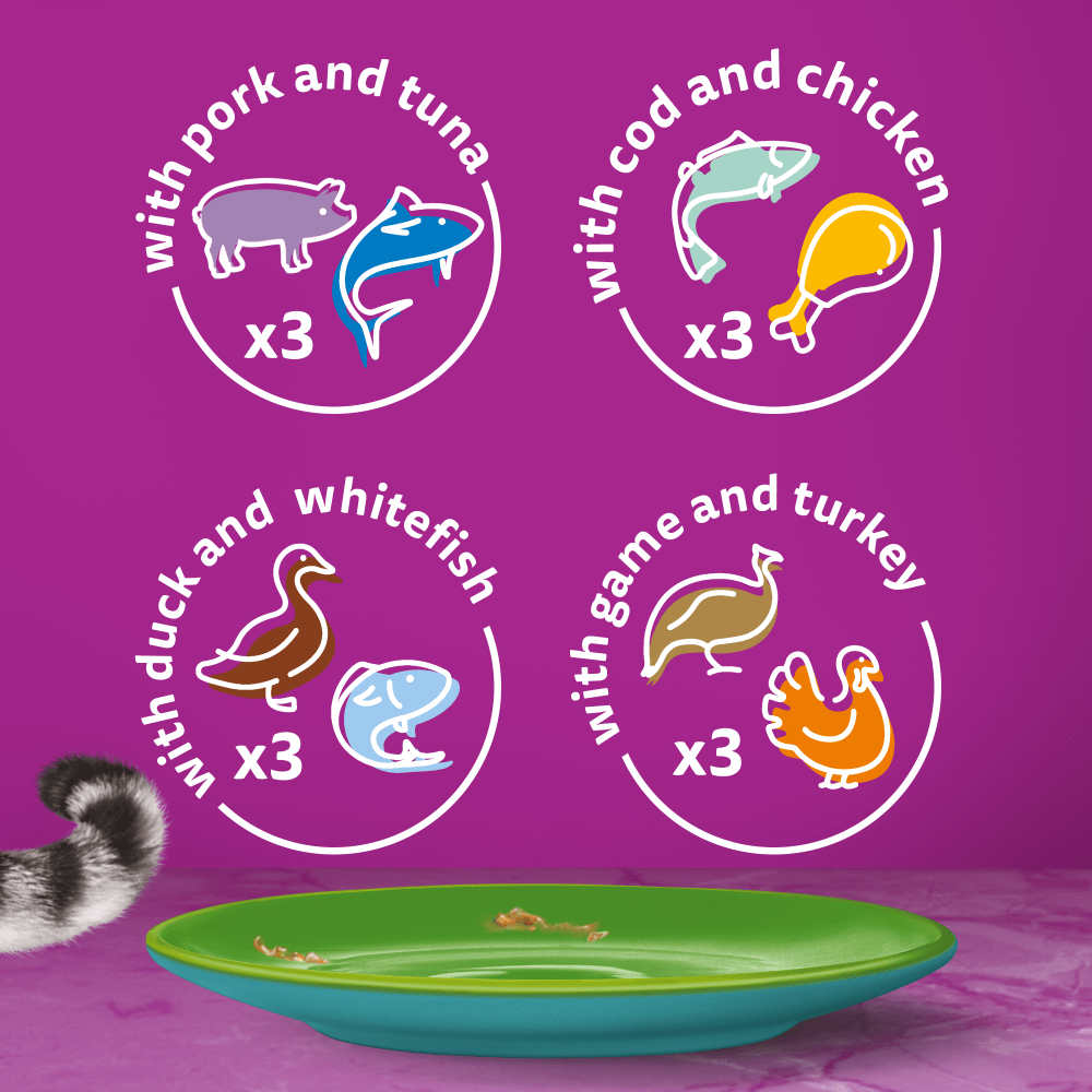 WHISKAS® 1+ Duo Mixed Medley Adult Wet Cat Food Pouches in Jelly 12 x 85g - 6