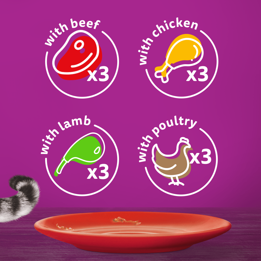 WHISKAS® 1+ Meaty Meals Adult Wet Cat Food Pouches in Gravy 12x85g, 80x85g - 6