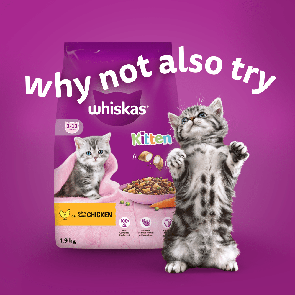WHISKAS® Kitten Mixed Menu Wet Cat Food Pouches in Jelly 12 x 85g - 5
