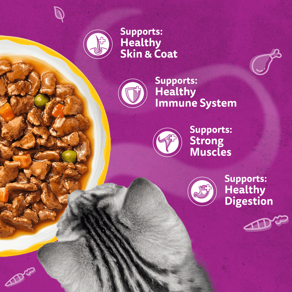 WHISKAS 1+ AROMATIC Purrfect POULTRY Wet Cat Food Pouches in Gravy 12 x 85g - 4