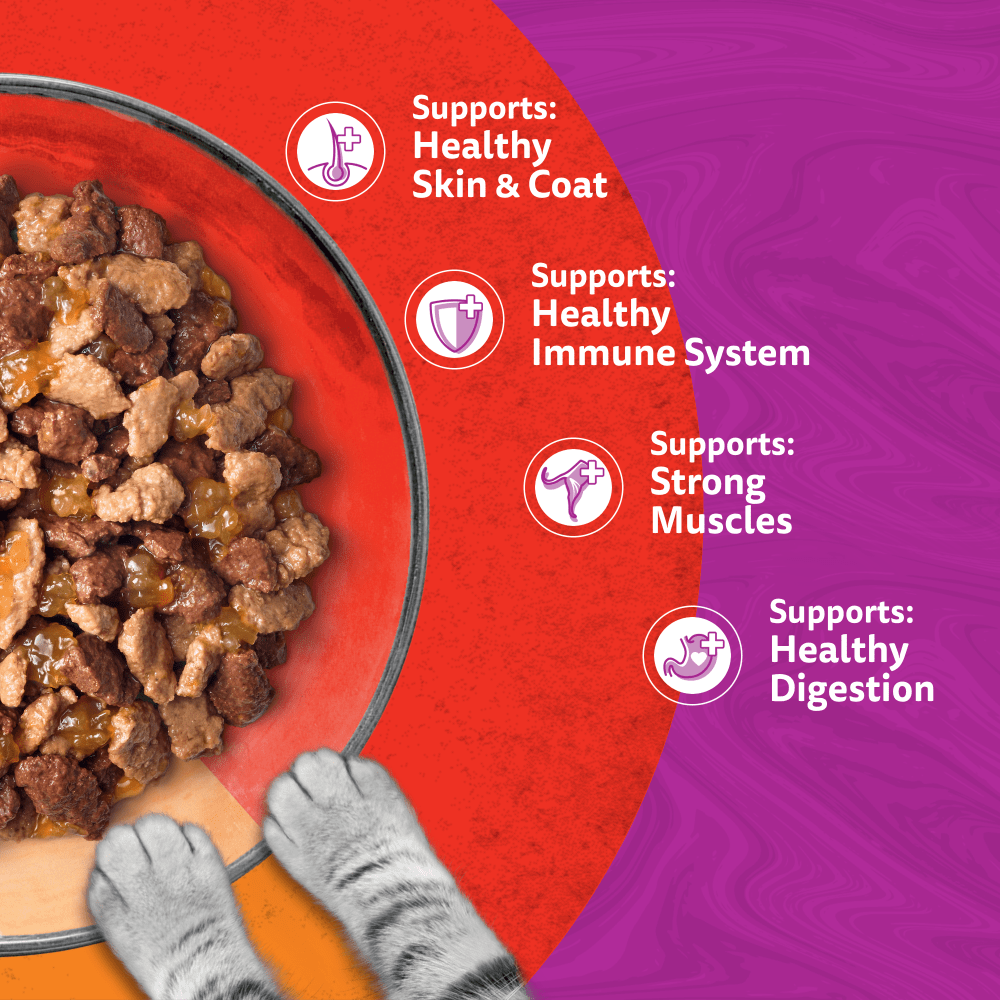 WHISKAS 1+ DUO MEATY Combos Wet Cat Food Pouches in Jelly 12 x 85g - 4