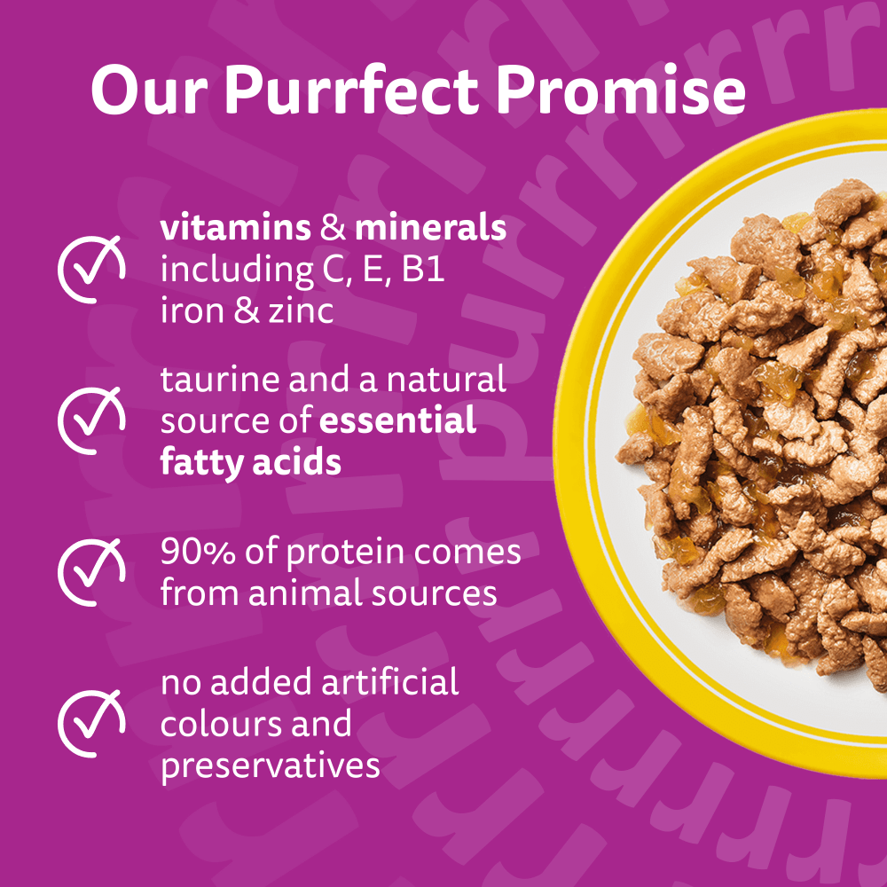 WHISKAS® POULTRY FEASTS in Jelly Adult Wet Cat Food Pouch 84x85g, 80x85g, 40x85g, 12x85g - 3