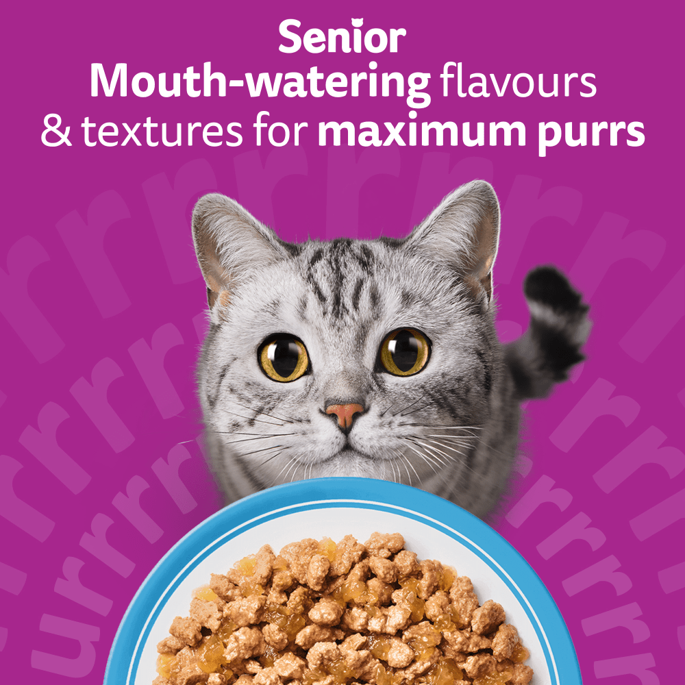 WHISKAS Senior 11+ FISH Favourites Wet Cat Food Pouches in Jelly 12 x 85g - 2