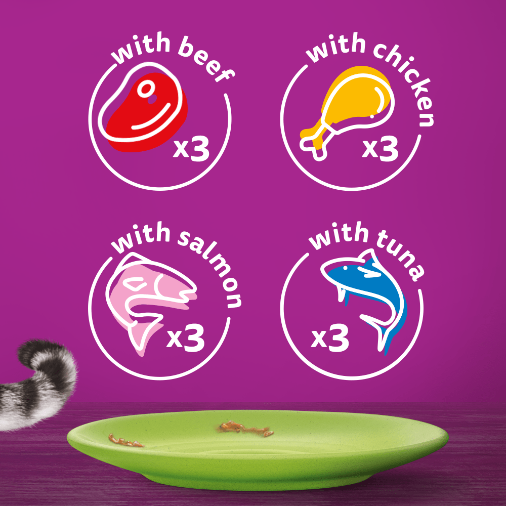 WHISKAS® TASTY MIX in Jelly Adult Wet Cat Food Pouch 84x85g,40x85g,12x85g - 6
