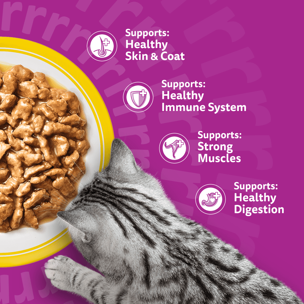 WHISKAS 1+ POULTRY Feasts Wet Cat Food Pouches in Gravy 12 x 85g - 4