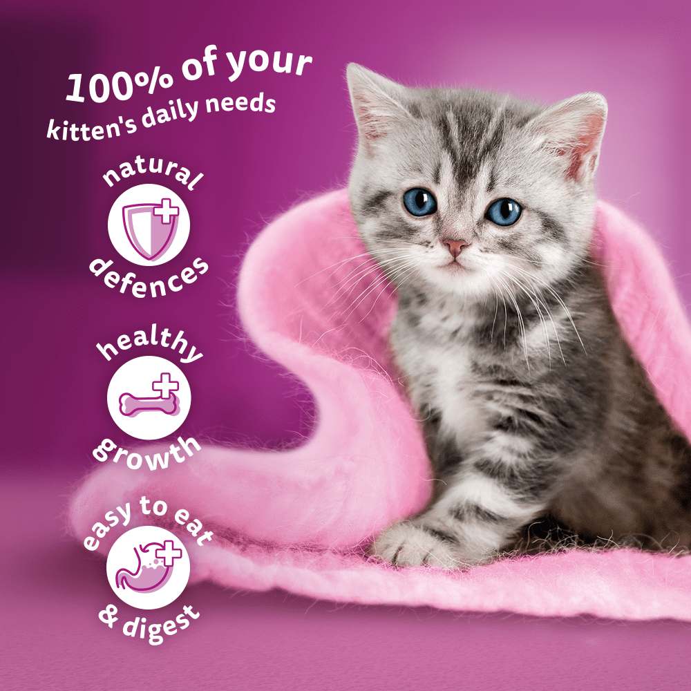 WHISKAS® Kitten Mixed Menu Wet Cat Food Pouches in Jelly 12 x 85g - 3