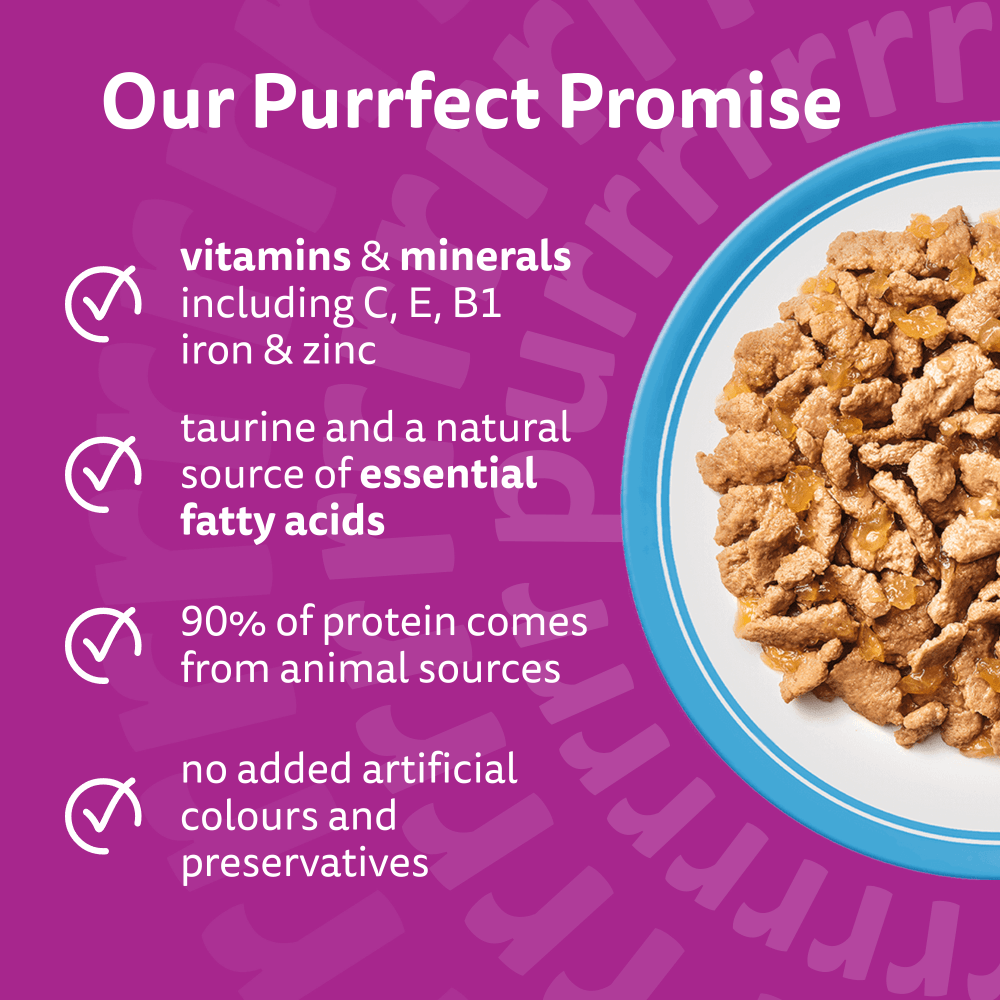 WHISKAS FISH FAVOURITES in Jelly Adult Wet Cat Food Pouch 80x85g, 40x85g, 12x85g - 3