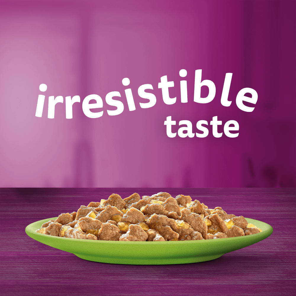 WHISKAS® TASTY MIX in Jelly Adult Wet Cat Food Pouch 84x85g,40x85g,12x85g - 2