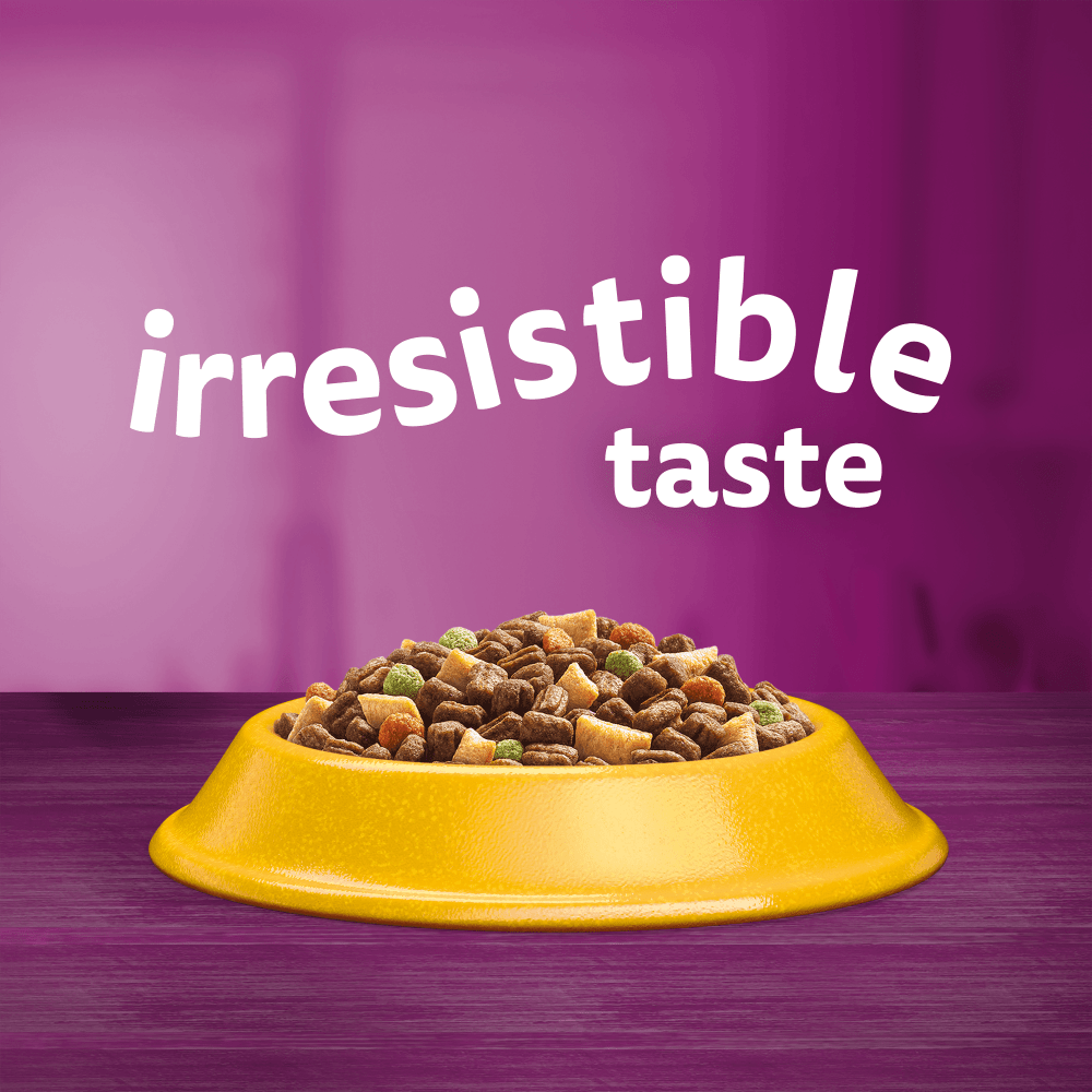 WHISKAS® Cat Dry with Chicken Adult 7kg,3.8kg,1.9kg,800g,300g - 2