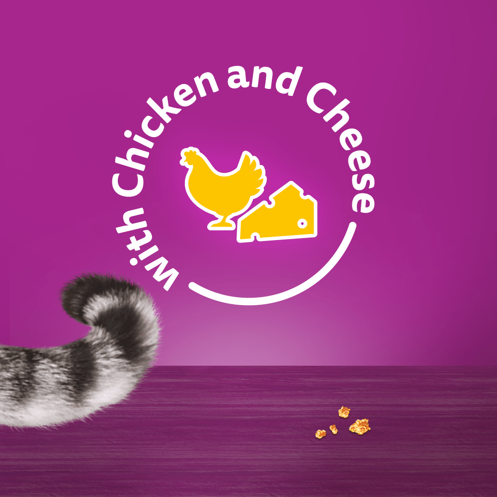 WHISKAS® TEMPTATIONS™ with Chicken & Cheese Adult Cat Treats 180g,60g - 6