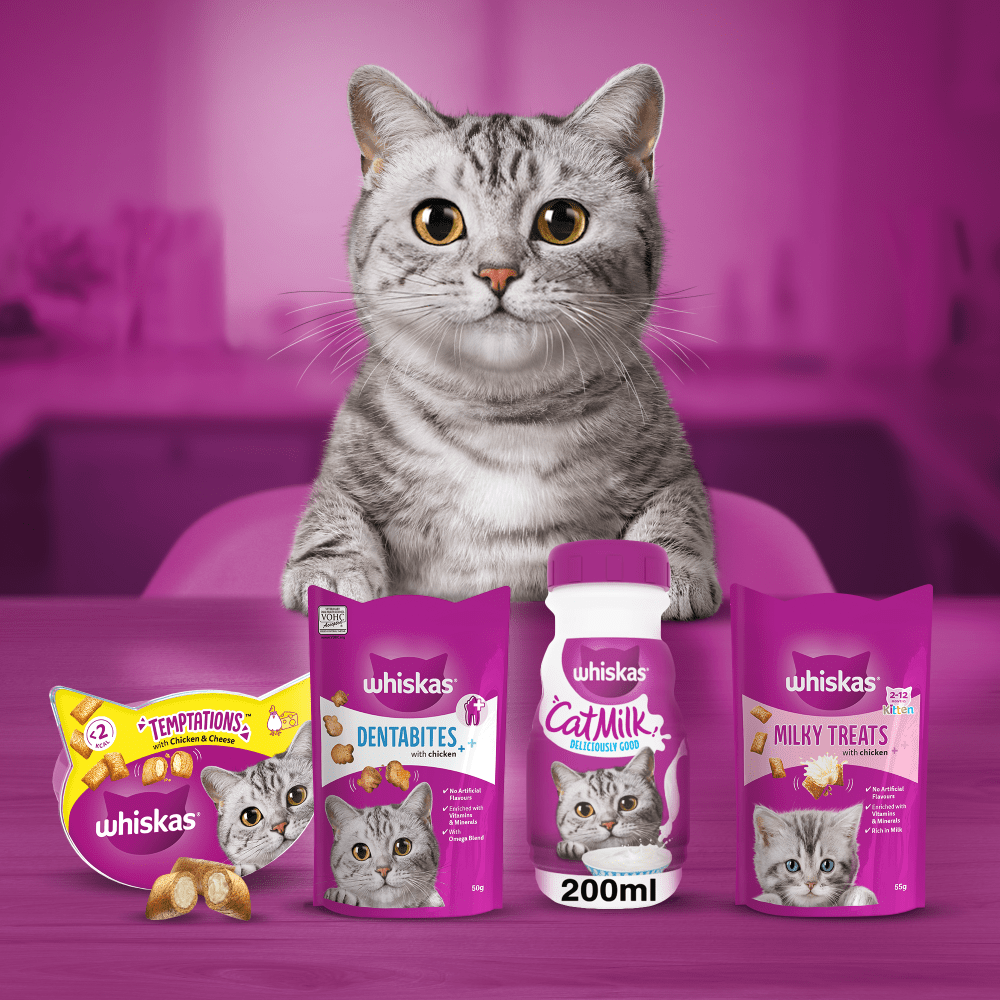 WHISKAS® MILK Cat Treat 3x200ml,200ml - 4