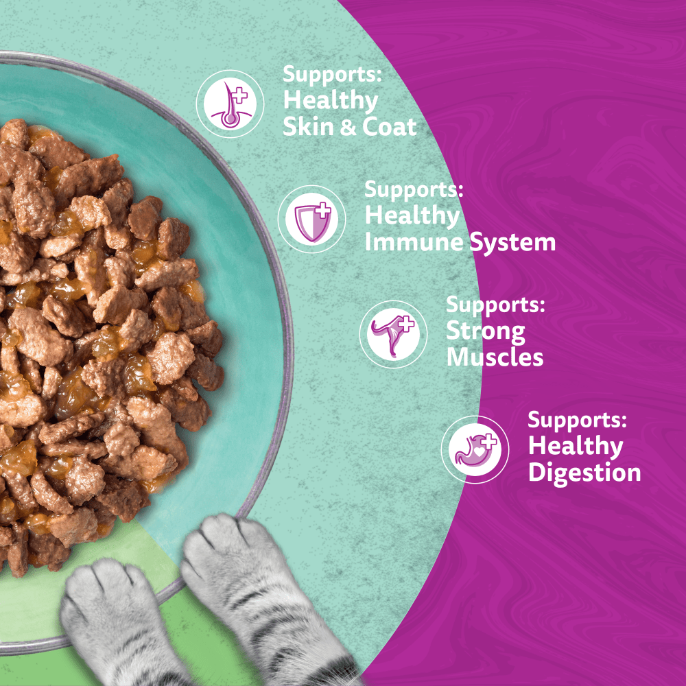 WHISKAS 1+ DUO MIXED Medley Wet Cat Food Pouches in Jelly 12 x 85g - 4