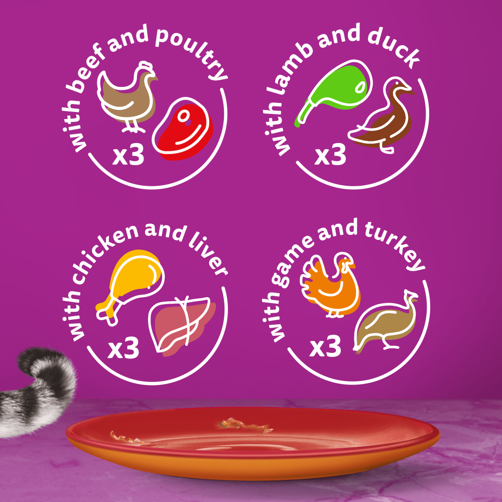 WHISKAS® 1+ Duo Meaty Combos Adult Wet Cat Food Pouches in Jelly 12 x 85g - 6
