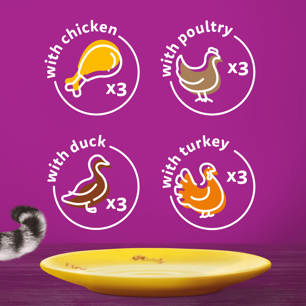 WHISKAS® 1+ Poultry Feasts Adult Wet Cat Food Pouches in Gravy 12 x 85g - 6