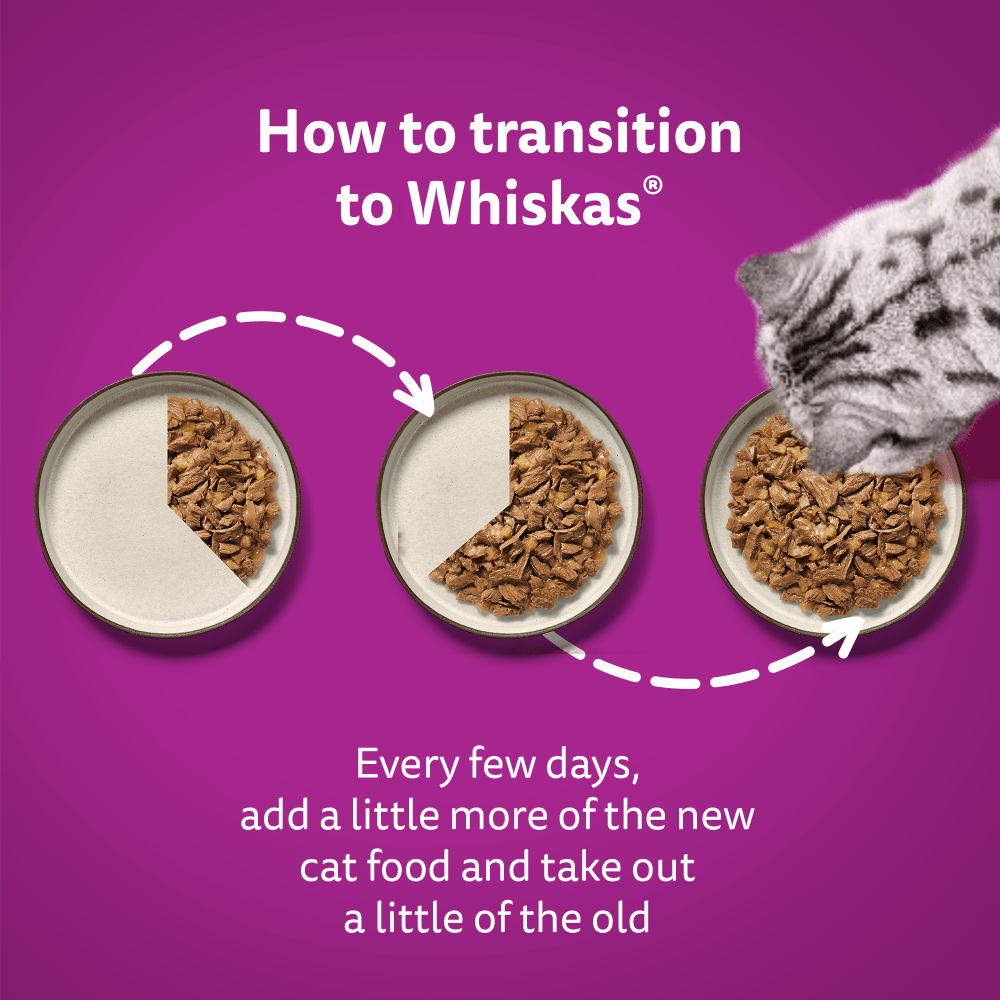 WHISKAS® 1+ Adult Wet Cat Food Pouches in Jelly with Tuna 85g - 5