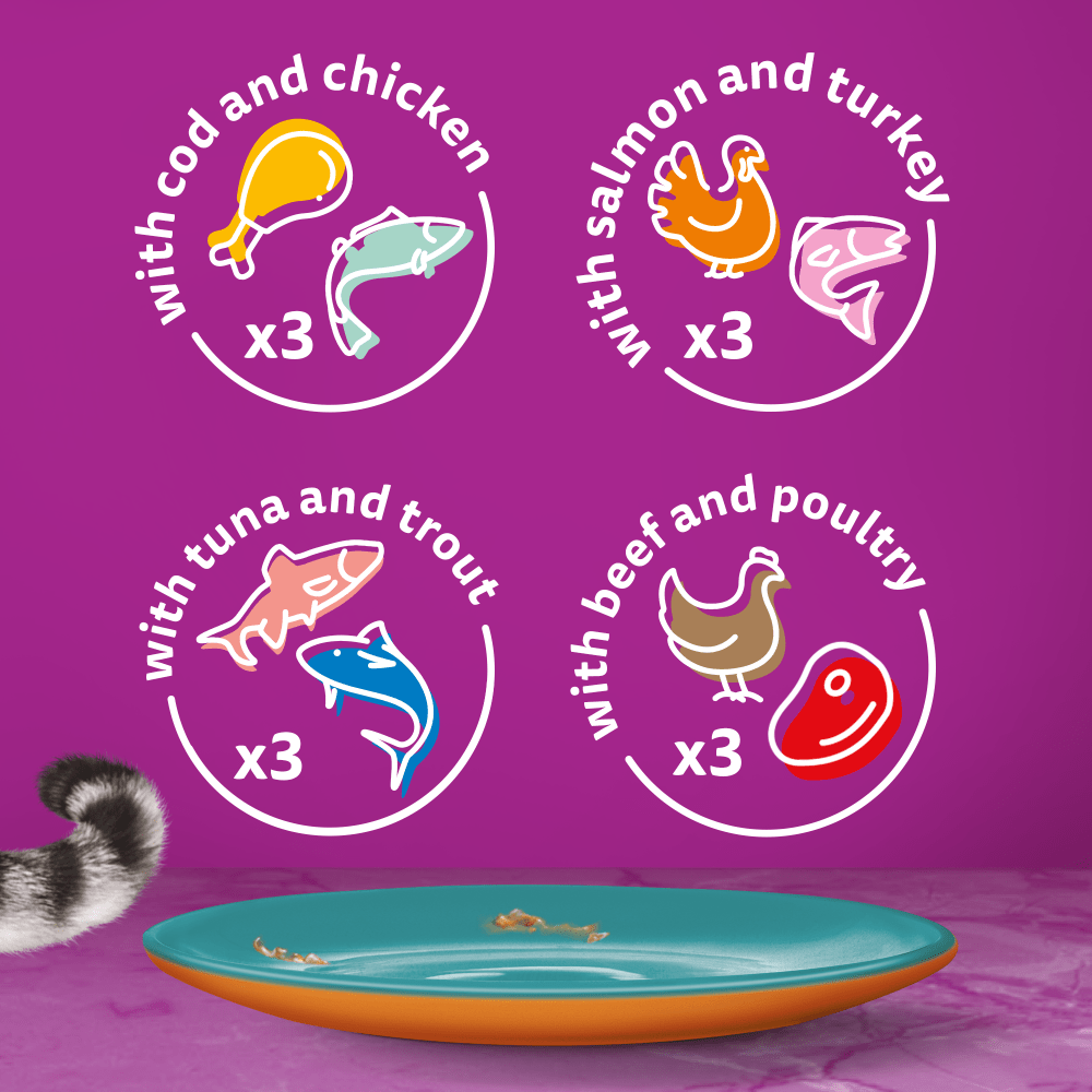 WHISKAS® Duo Surf & Turf in Jelly Adult Wet Cat Food Pouch 80x85g,40x85g,12x85g - 6