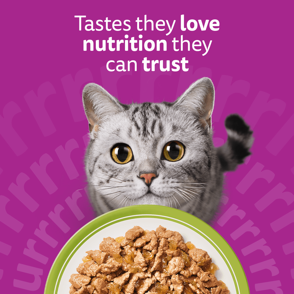 WHISKAS 1+ Mixed Menu Wet Cat Food Pouch in Jelly 40x85g, 12x85g - 2