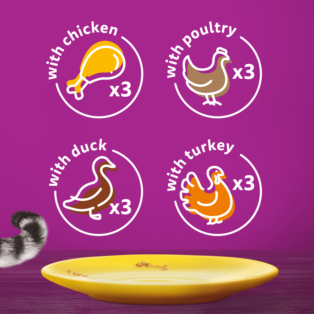 WHISKAS® POULTRY FEASTS in Jelly Senior 7+ Wet Cat Food Pouch 80x85g,40x85g,12x85g - 6