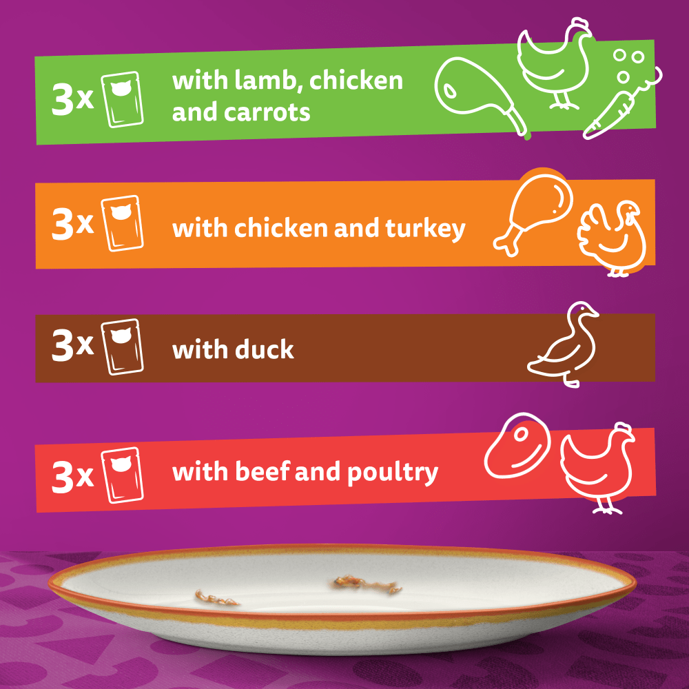 WHISKAS® 1+ Country Collection Mix Adult Wet Cat Food Pouch in Gravy 12x85g - 6
