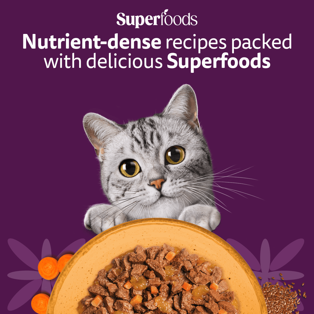 WHISKAS 1+ SUPERFOODS POULTRY Wet Cat Food Pouches in Jelly 6 x 50g - 2