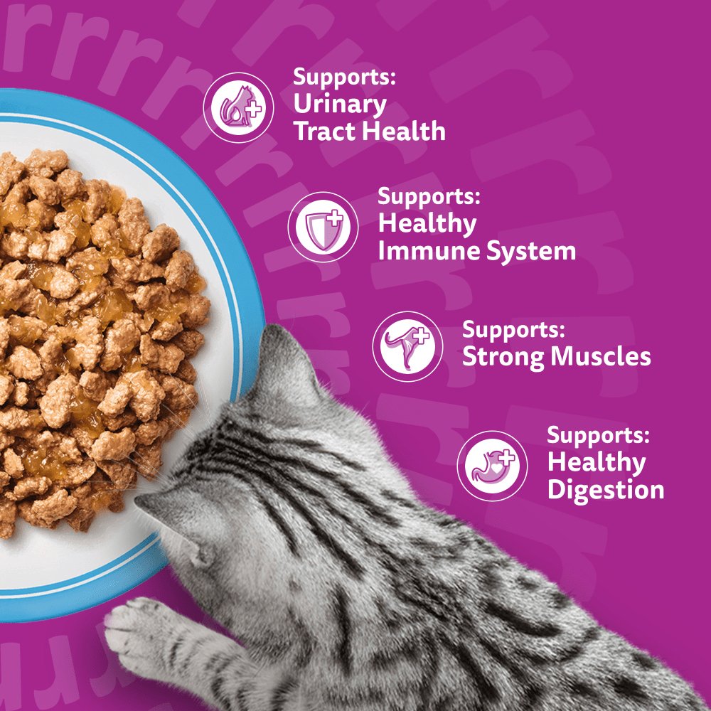 WHISKAS Senior 11+ FISH Favourites Wet Cat Food Pouches in Jelly 12 x 85g - 4