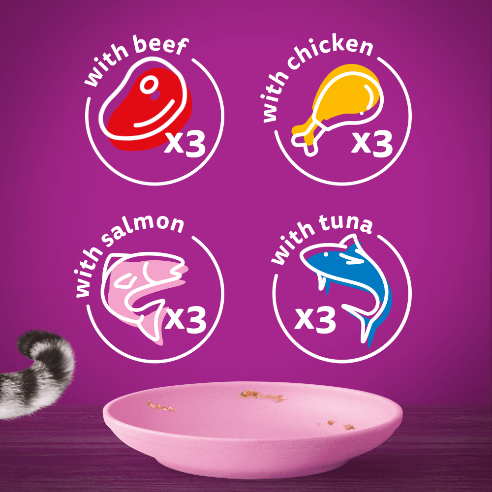 WHISKAS® Kitten Mixed Menu Wet Cat Food Pouches in Jelly 12 x 85g - 6