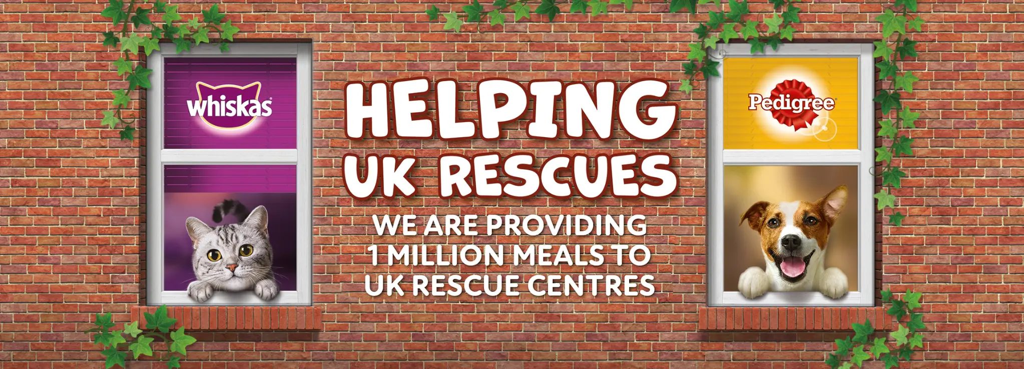 Adoption Mission Hero Banner